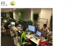 娱乐圈爆料大锤小说