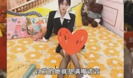 东台网红爆料视频大全,揭秘网络红人背后的故事